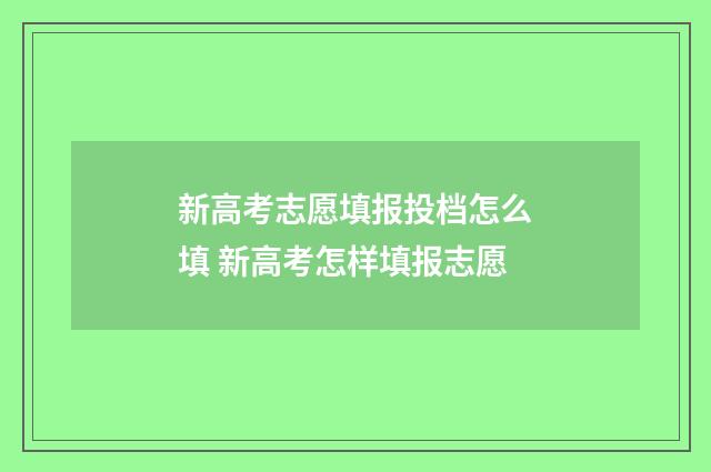 新高考志愿填报投档怎么填 新高考怎样填报志愿