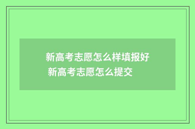 新高考志愿怎么样填报好 新高考志愿怎么提交