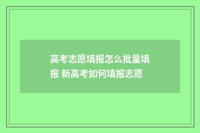 高考志愿填报怎么批量填报 新高考如何填报志愿