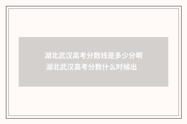 湖北武汉高考分数线是多少分啊 湖北武汉高考分数什么时候出