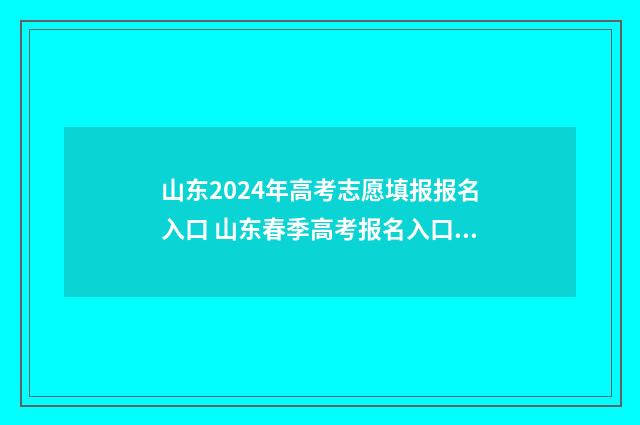 山东2024年高考志愿填报报名入口 山东春季高考报名入口官网
