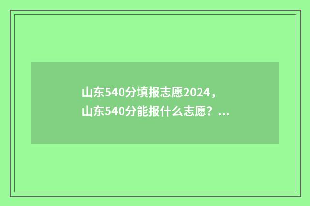 山东540分填报志愿2024，山东540分能报什么志愿？ 2021山东考生540分能上什么一本