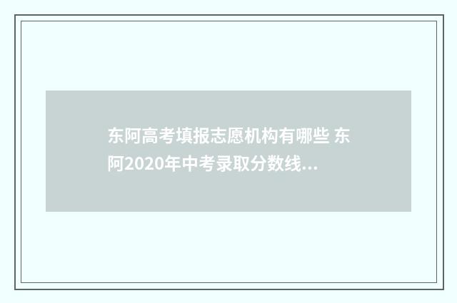 东阿高考填报志愿机构有哪些 东阿2020年中考录取分数线是多少