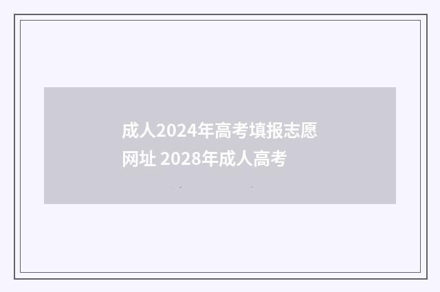成人2024年高考填报志愿网址 2028年成人高考
