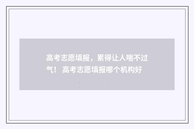 高考志愿填报,累得让人喘不过气! 高考志愿填报哪个机构好
