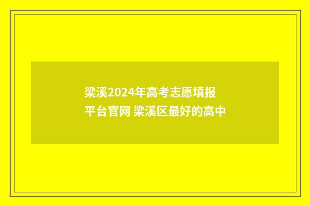 梁溪2024年高考志愿填报平台官网 梁溪区最好的高中
