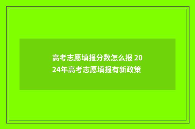 高考志愿填报分数怎么报 2024年高考志愿填报有新政策