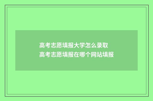 高考志愿填报大学怎么录取 高考志愿填报在哪个网站填报