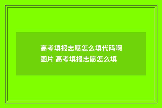 高考填报志愿怎么填代码啊图片 高考填报志愿怎么填