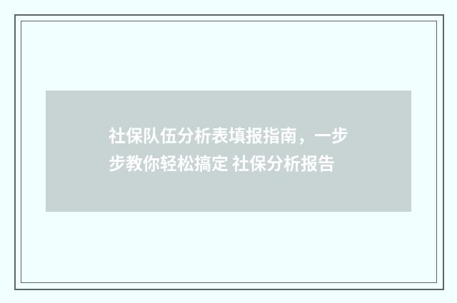 社保队伍分析表填报指南,一步步教你轻松搞定 社保分析报告