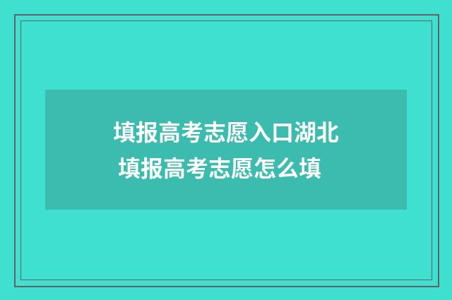 填报高考志愿入口湖北 填报高考志愿怎么填
