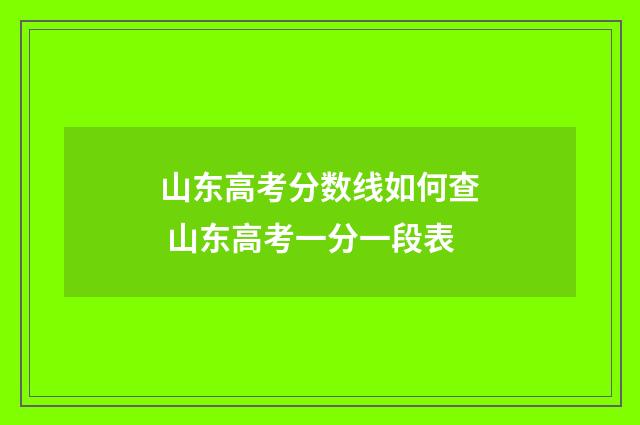 山东高考分数线如何查 山东高考一分一段表