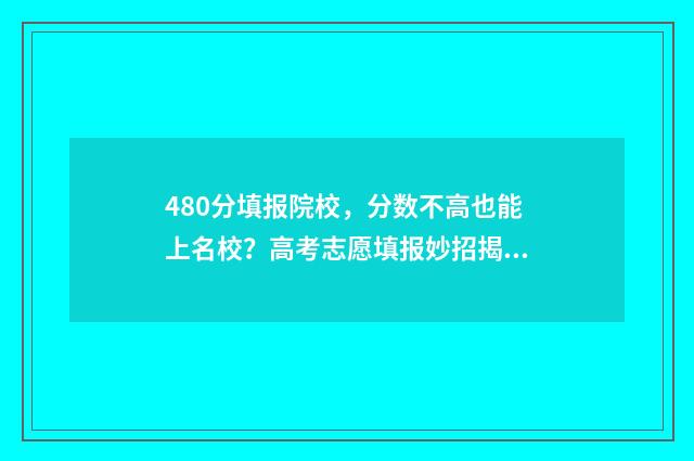 480分填报院校,分数不高也能上名校?高考志愿填报妙招揭秘 480分报什么学校