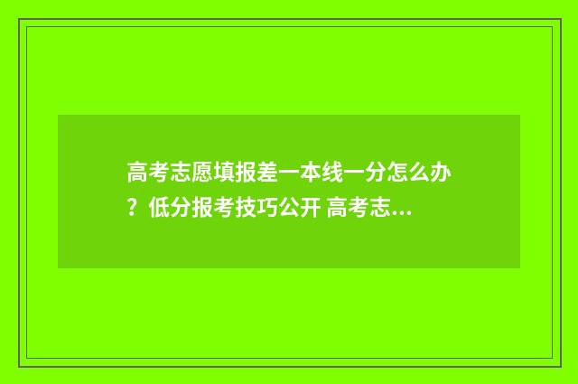 高考志愿填报差一本线一分怎么办?低分报考技巧公开 高考志愿填报差多少位次安全