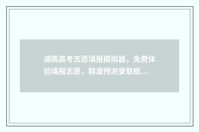 湖南高考志愿填报模拟器，免费体验填报志愿，精准预测录取概率 湖南高考志愿填报指南2024