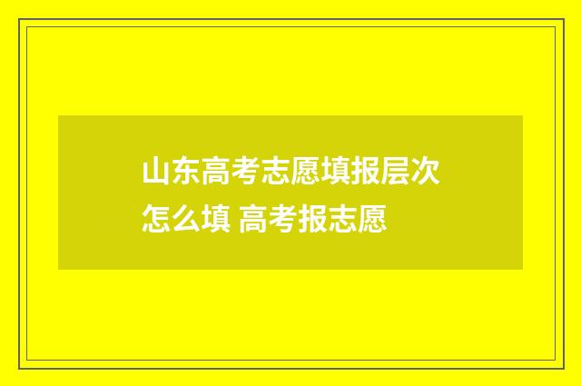 山东高考志愿填报层次怎么填 高考报志愿