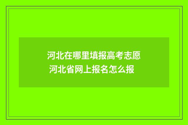 河北在哪里填报高考志愿 河北省网上报名怎么报