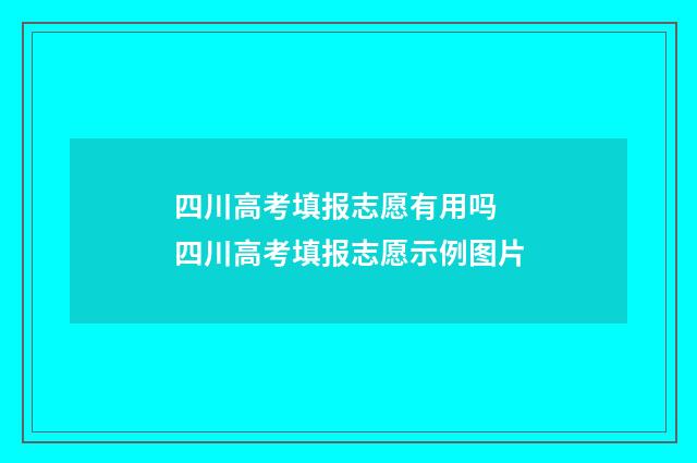 四川高考填报志愿有用吗 四川高考填报志愿示例图片