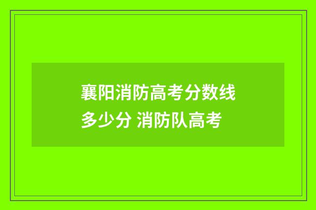 襄阳消防高考分数线多少分 消防队高考