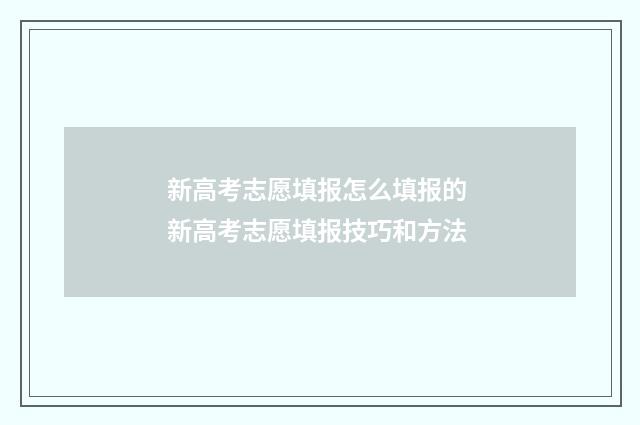 新高考志愿填报怎么填报的 新高考志愿填报技巧和方法