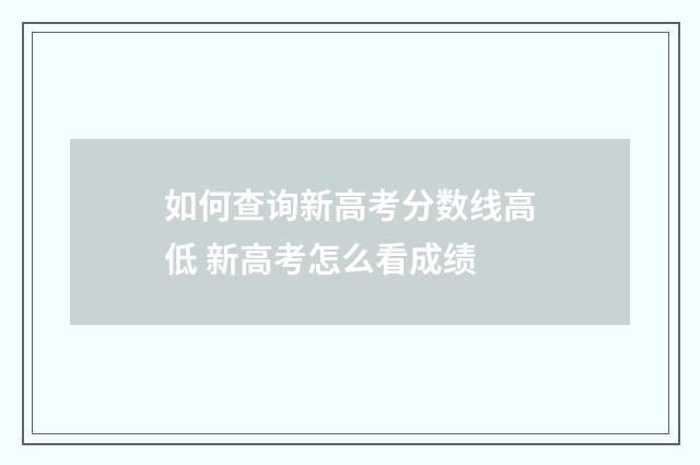 如何查询新高考分数线高低 新高考怎么看成绩