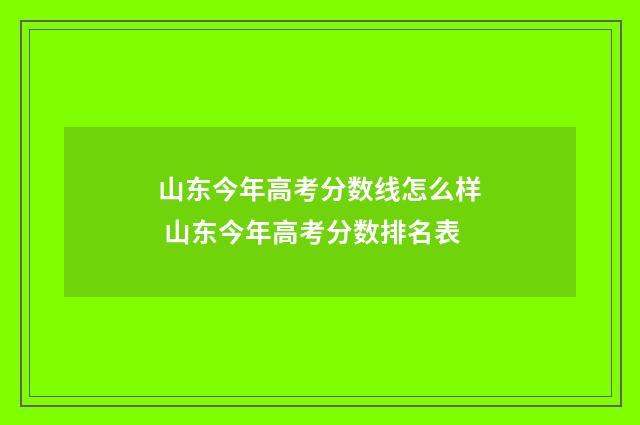 山东今年高考分数线怎么样 山东今年高考分数排名表