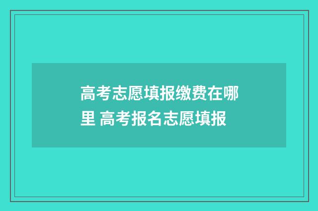 高考志愿填报缴费在哪里 高考报名志愿填报