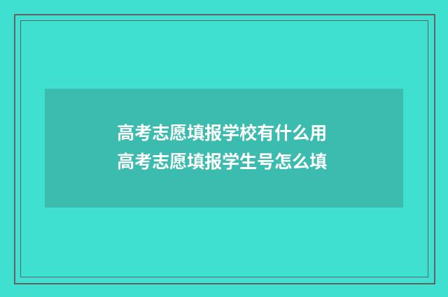 高考志愿填报学校有什么用 高考志愿填报学生号怎么填
