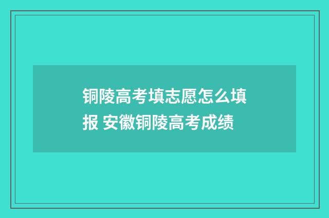 铜陵高考填志愿怎么填报 安徽铜陵高考成绩