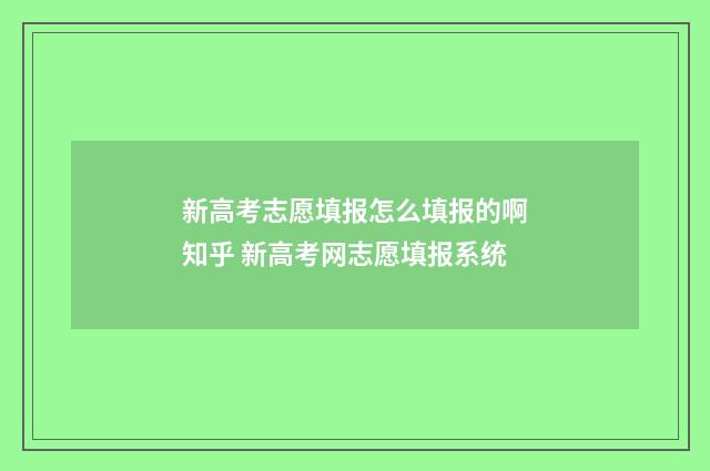 新高考志愿填报怎么填报的啊知乎 新高考网志愿填报系统