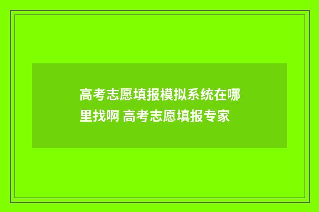 高考志愿填报模拟系统在哪里找啊 高考志愿填报专家