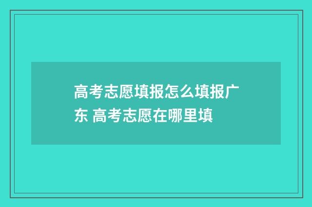 高考志愿填报怎么填报广东 高考志愿在哪里填
