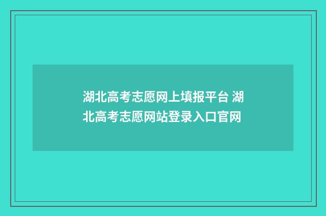 湖北高考志愿网上填报平台 湖北高考志愿网站登录入口官网