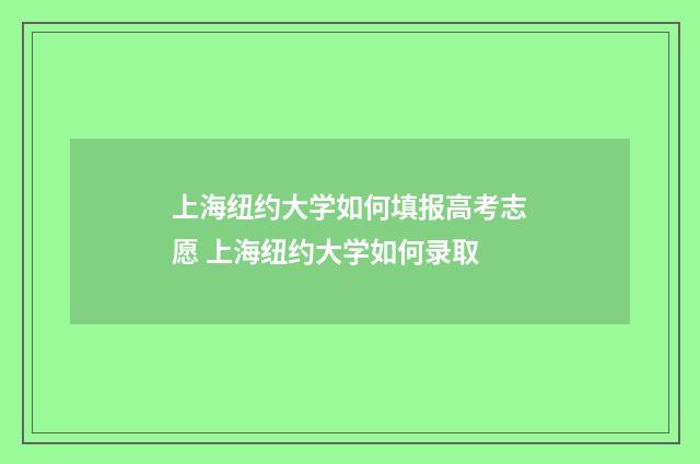 上海纽约大学如何填报高考志愿 上海纽约大学如何录取