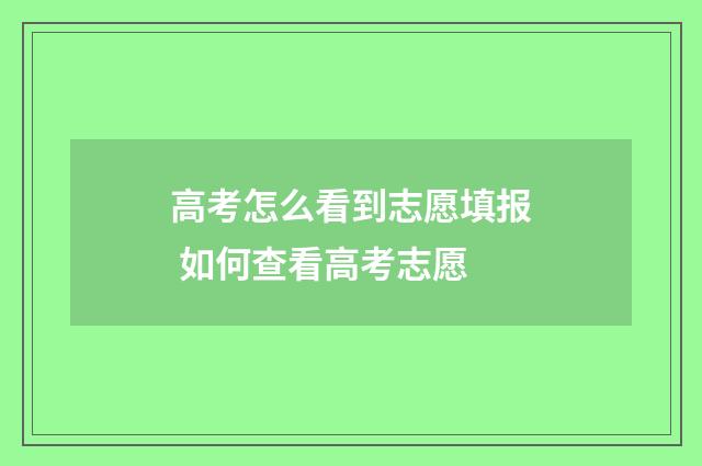 高考怎么看到志愿填报 如何查看高考志愿