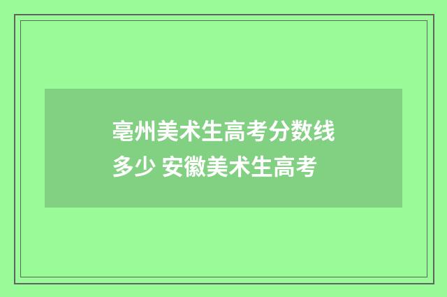 亳州美术生高考分数线多少 安徽美术生高考