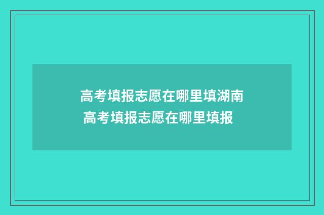 高考填报志愿在哪里填湖南 高考填报志愿在哪里填报