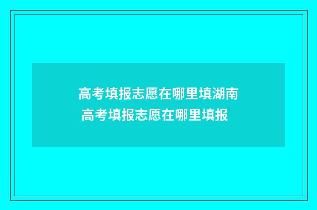 高考填报志愿在哪里填湖南 高考填报志愿在哪里填报
