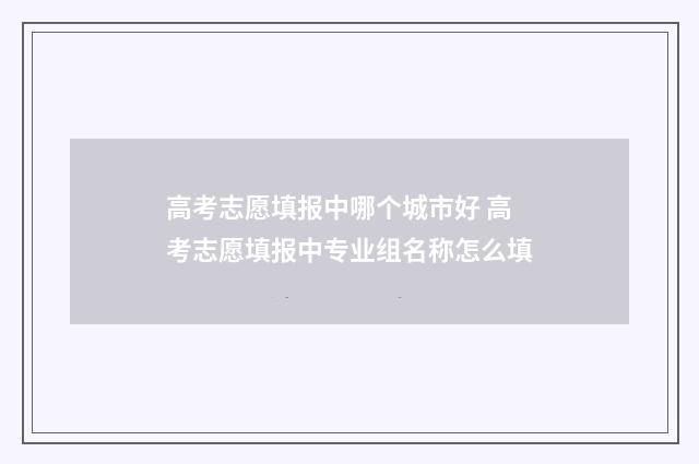 高考志愿填报中哪个城市好 高考志愿填报中专业组名称怎么填