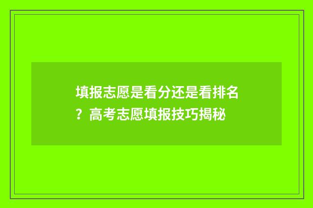 填报志愿是看分还是看排名？高考志愿填报技巧揭秘