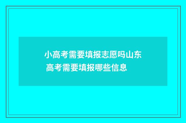 小高考需要填报志愿吗山东 高考需要填报哪些信息