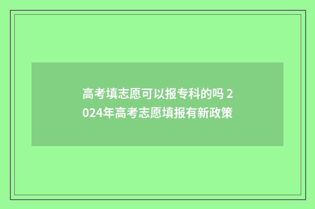 高考填志愿可以报专科的吗 2024年高考志愿填报有新政策