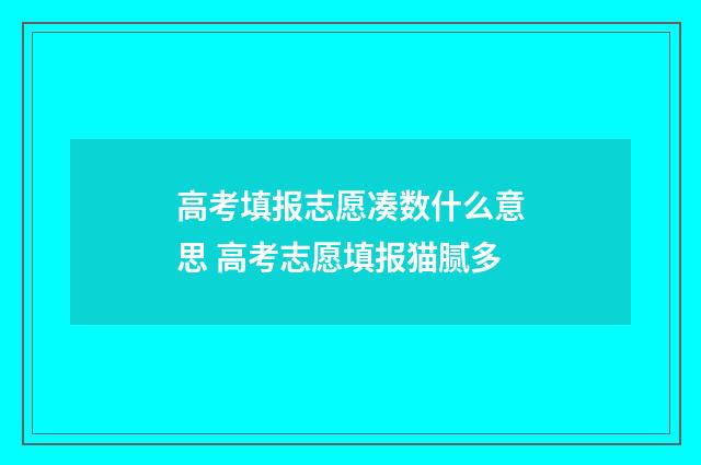 高考填报志愿凑数什么意思 高考志愿填报猫腻多