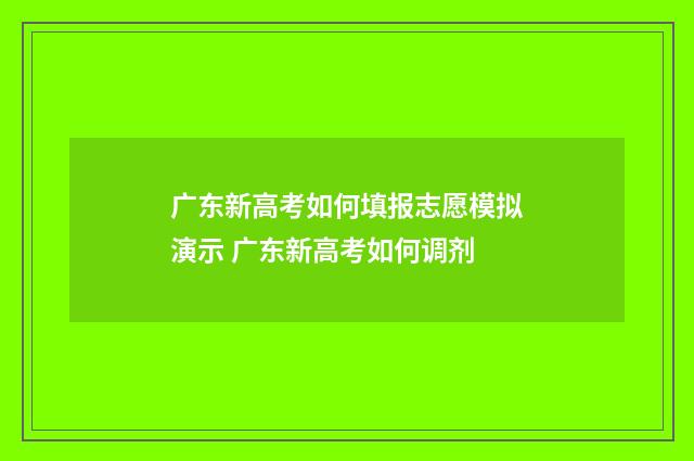广东新高考如何填报志愿模拟演示 广东新高考如何调剂