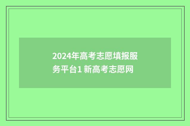 2024年高考志愿填报服务平台1 新高考志愿网