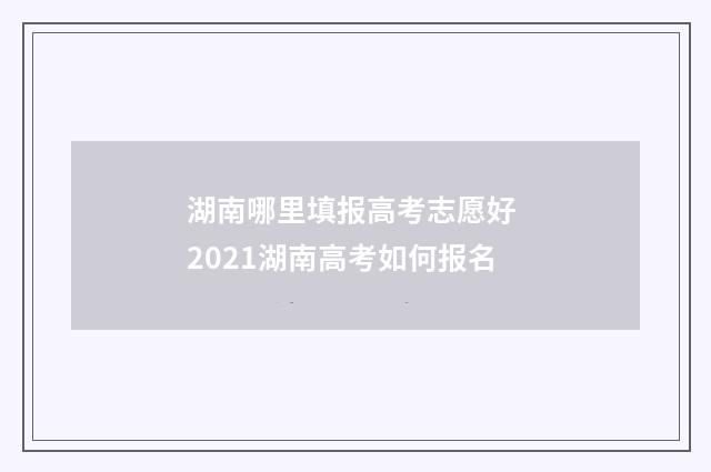 湖南哪里填报高考志愿好 2021湖南高考如何报名