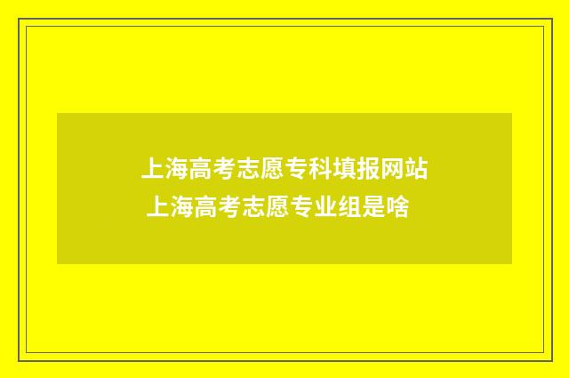 上海高考志愿专科填报网站 上海高考志愿专业组是啥