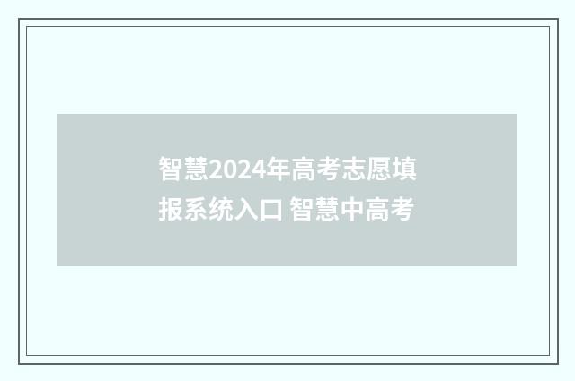 智慧2024年高考志愿填报系统入口 智慧中高考