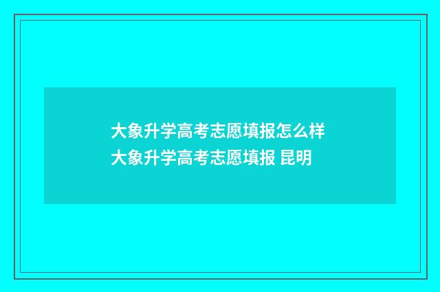 大象升学高考志愿填报怎么样 大象升学高考志愿填报 昆明