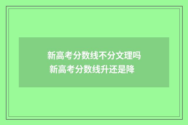 新高考分数线不分文理吗 新高考分数线升还是降